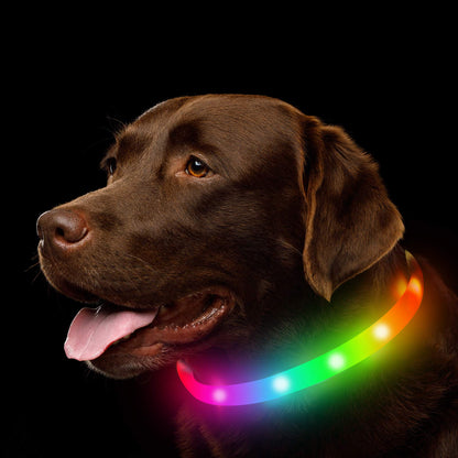 Silicone Led Dog Collar USB Rechargeable Luminous Dog Collar Anti-Lost