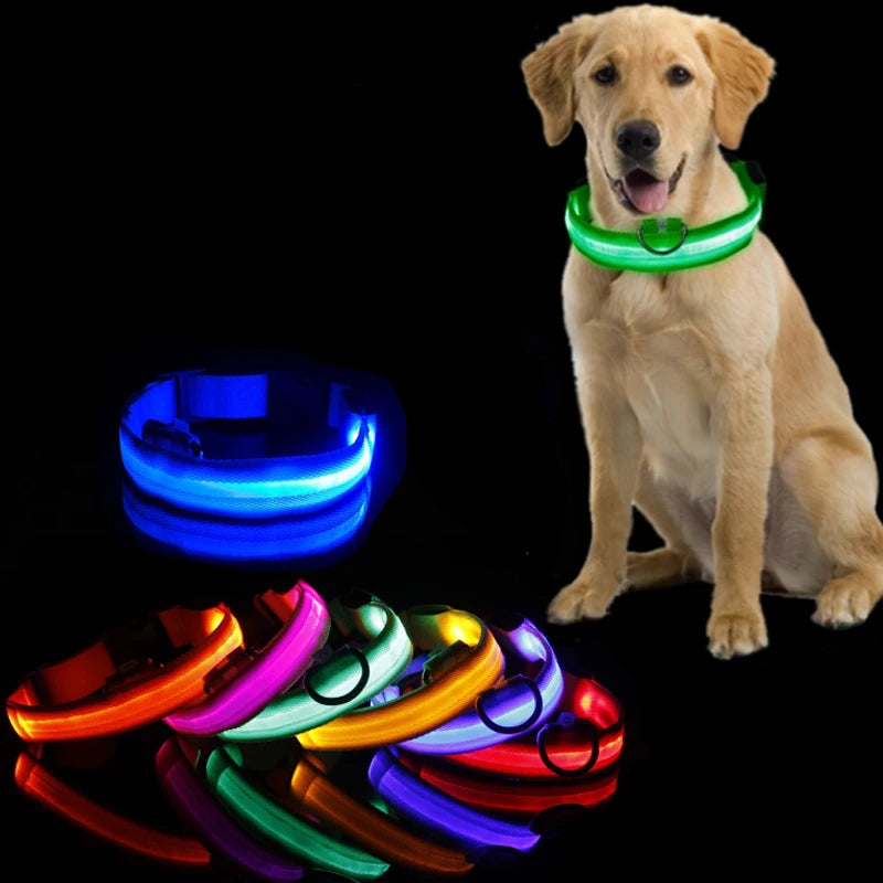 Led Dog Collar Light Anti-lost Collar For Dogs Puppies  Night Luminous  Pet Products Accessories USB Charging/Battery