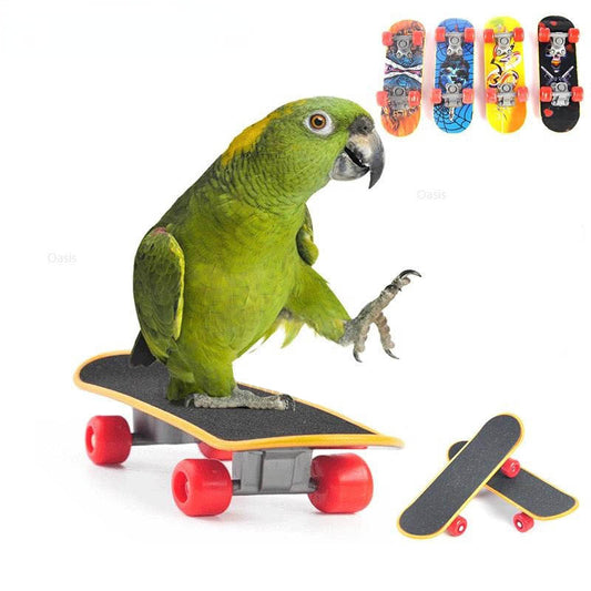 Bird Toys Funny Mini Skateboard Parrot Toy training Skateboard Budgies Parakeet Growth Toy