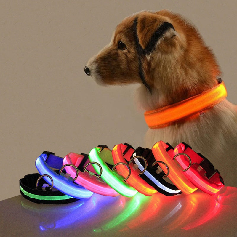 LED Dog Collar Light Anti-lost Collar USB Charging/Battery