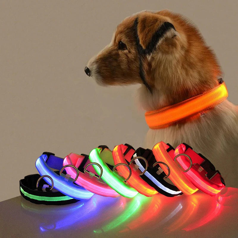 Led Dog Collar Light Anti-lost Collar For Dogs Puppies  Night Luminous  Pet Products Accessories USB Charging/Battery