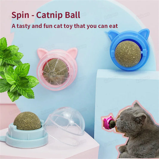Catnip Wall Ball Cat Toys Pet Toys for Cats Clean Mouth Promote Digestion Kitten Candy Licking Snacks