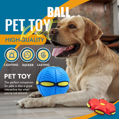 2023 New Pet Dog Toy Magic Flying Saucer Ball Durable Soft Rubber Interactive
