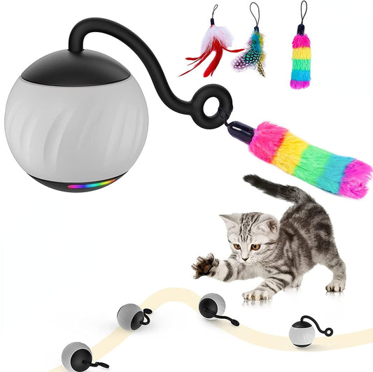 Interactive Cat Toys for Indoor Cats,Automatic Moving Two Speeds Smart Cat Toys Without Noise