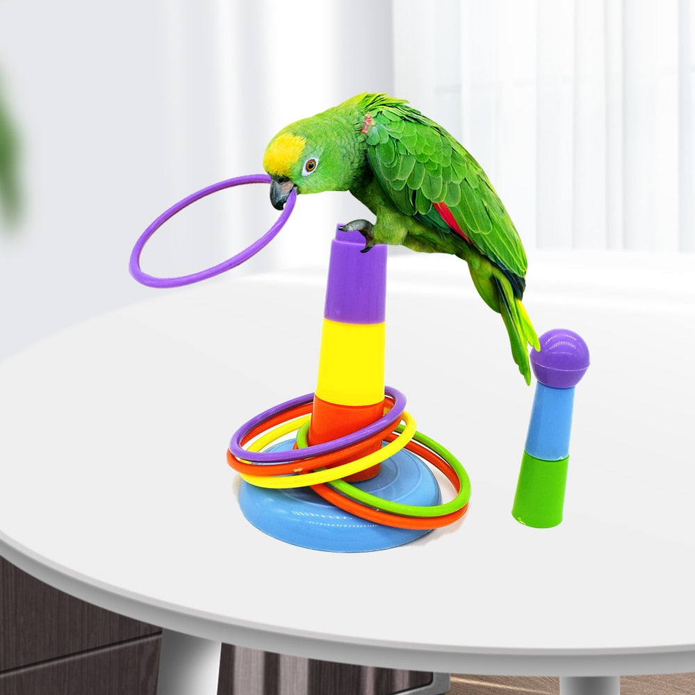 Interesting Ring Toys Suitable for Parrots Intellectual Development Training Toys