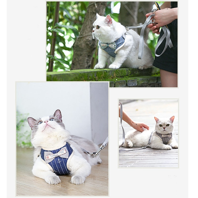 Bowknot Cat Harness and Leash Set Adjustable Puppy Harness Clothes Vest
