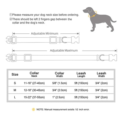 Nylon Custom Dog Collar Leash Set Personalized Pet Nameplate ID Tag