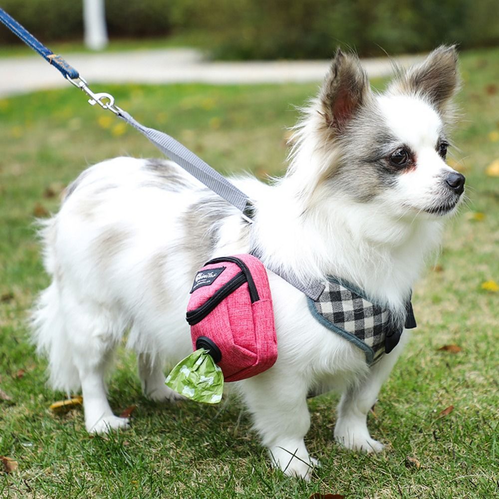 Portable Dog Training Treat Bag Outdoor Pet Dog Pouch Puppy Snack Reward Waist Bag Dog Poop Bag