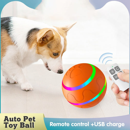 Smart Toy Ball Dog Cat USB Rechargeable Funny Rolling Ball