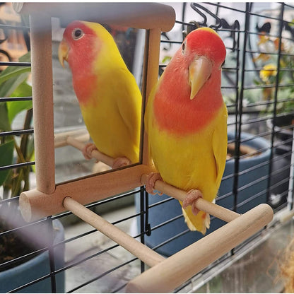 Bird Mirror Wooden Interactive Play Toy With Perch For Small Parrot Budgies Parakeet Cockatiel Conure