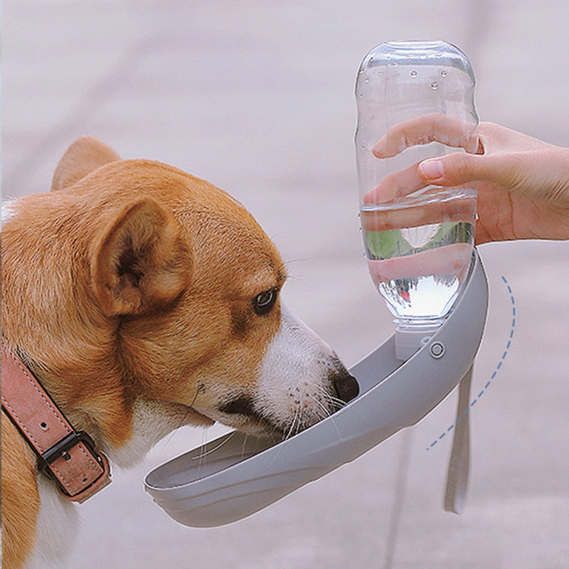 Dogs Go Out Kettle Drinker Portable Water Cup Drinking Water Feeder