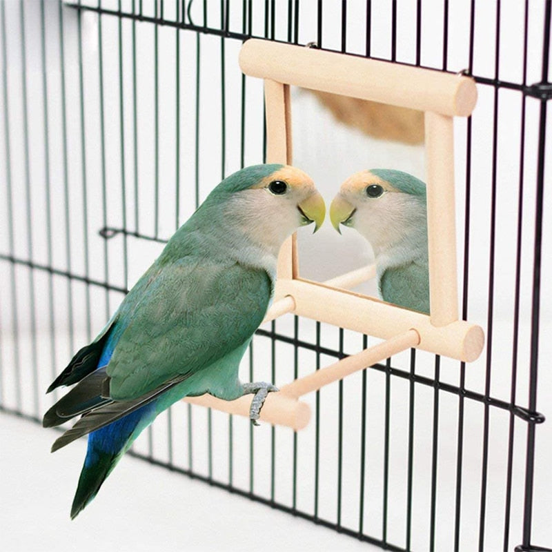 Bird Mirror Wooden Interactive Play Toy With Perch For Small Parrot Budgies Parakeet Cockatiel Conure