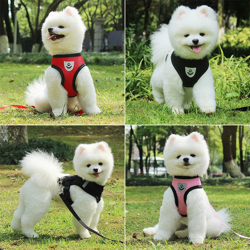 Dog Accessories Breathable Mesh Dog Harness and Leash Set Puppy Cat Harness Vest For Small Dogs