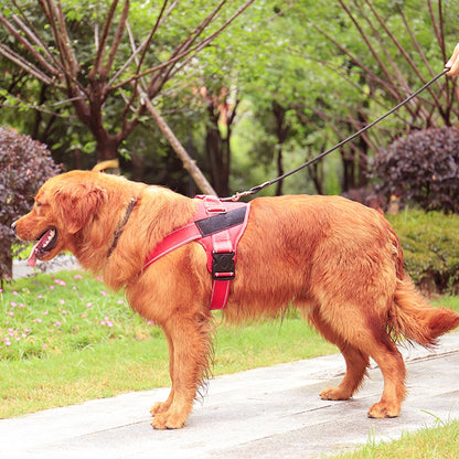 Nylon Dog Harness Personalized Reflective Pet Harness