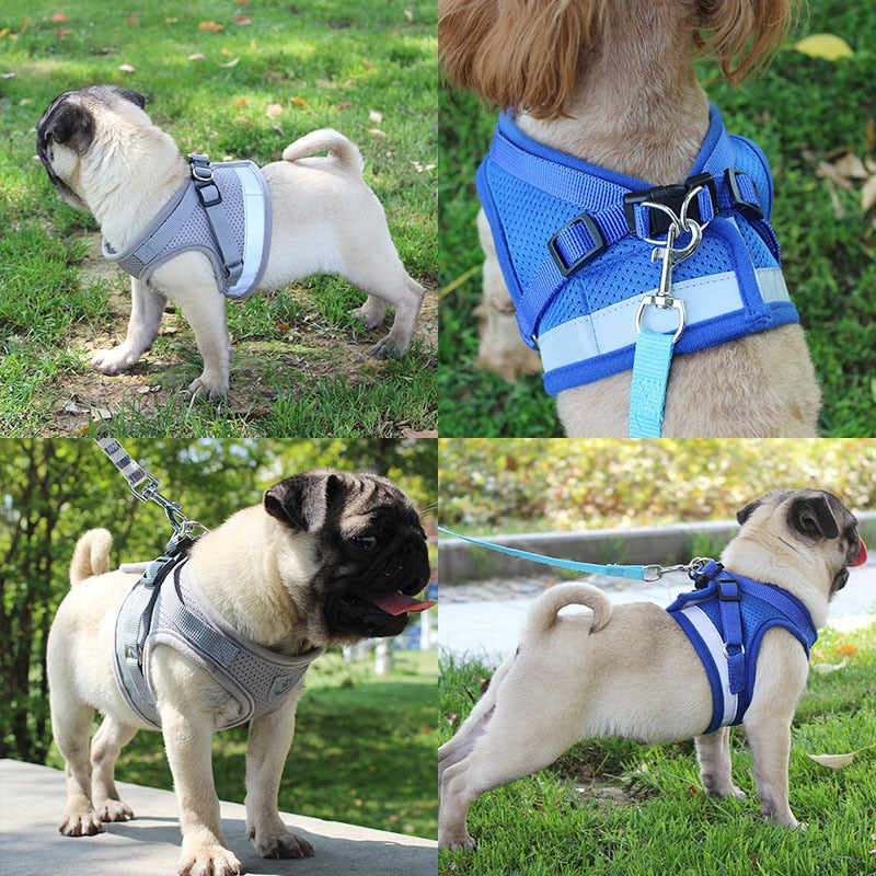 Reflective Safety Pet Dog Harness and Leash Set for Small Medium Dogs Cat Harnesses Vest Puppy Chest