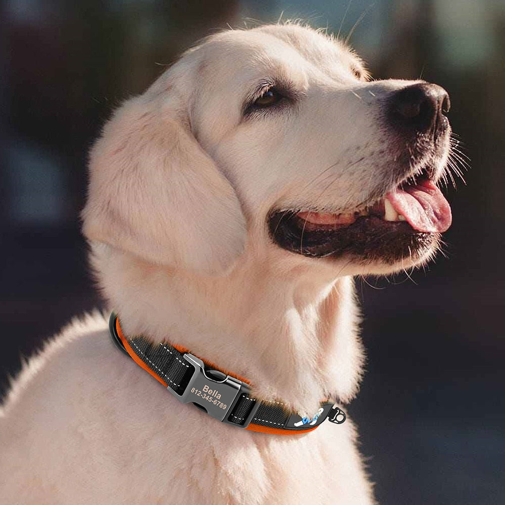 Reflective Dog Collar Personalized ID Buckle Collars