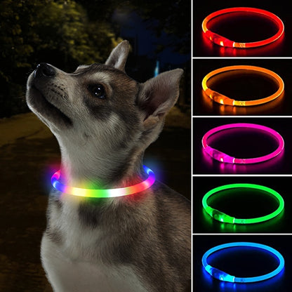 USB Charge Luminous Dog Collar Led Night Glowing Battery Dog Loss Prevention Puppy Accessories Supplies Articles For Pets