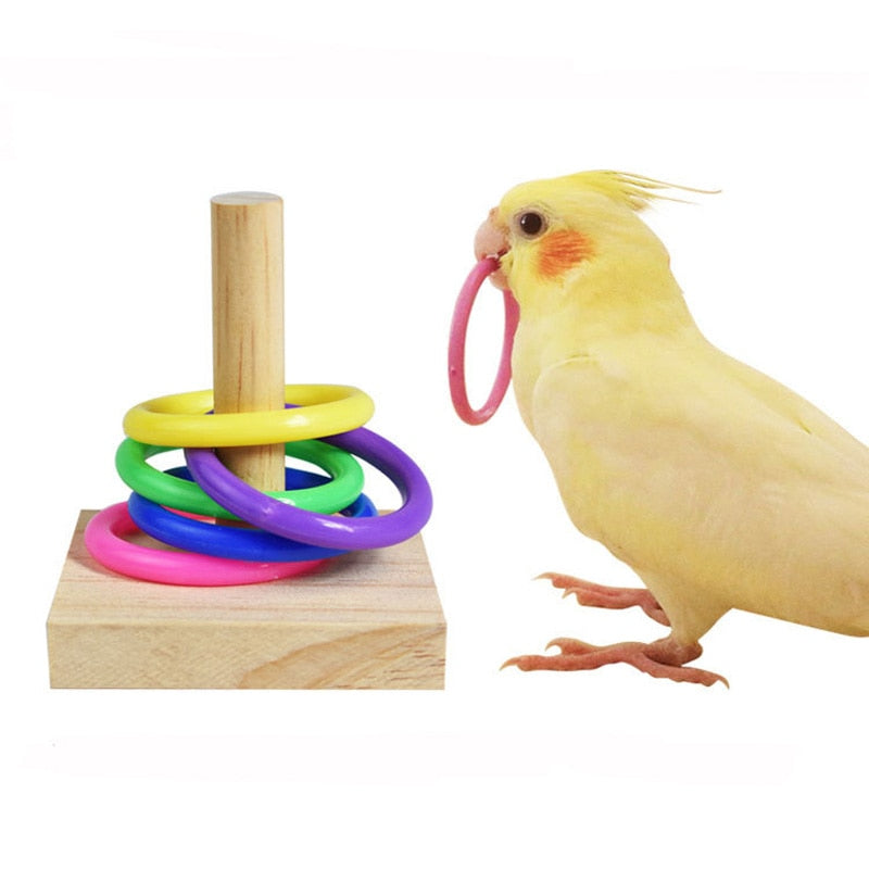 Bird Training Toys Set Wooden Block Puzzle Toys For Parrots Colorful Plastic Rings Intelligence Training