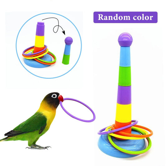Interesting Ring Toys Suitable for Parrots Intellectual Development Training Toys