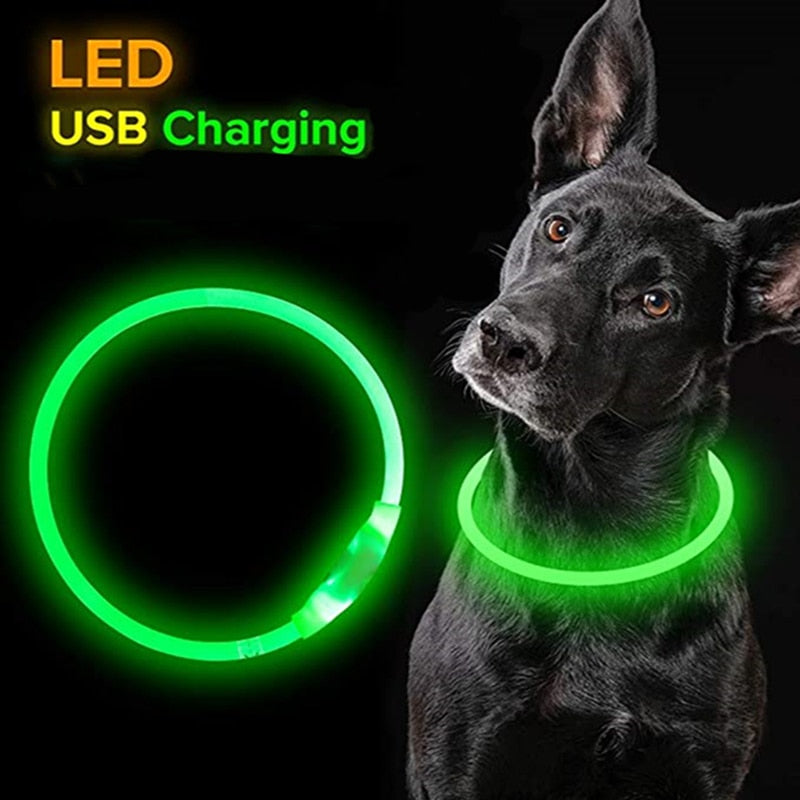 LED Dog Collar Luminous Usb Cat Dog Collar 3 Modes LED Light