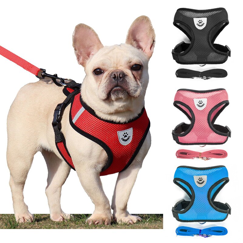 Dog Accessories Breathable Mesh Dog Harness and Leash Set Puppy Cat Harness Vest For Small Dogs